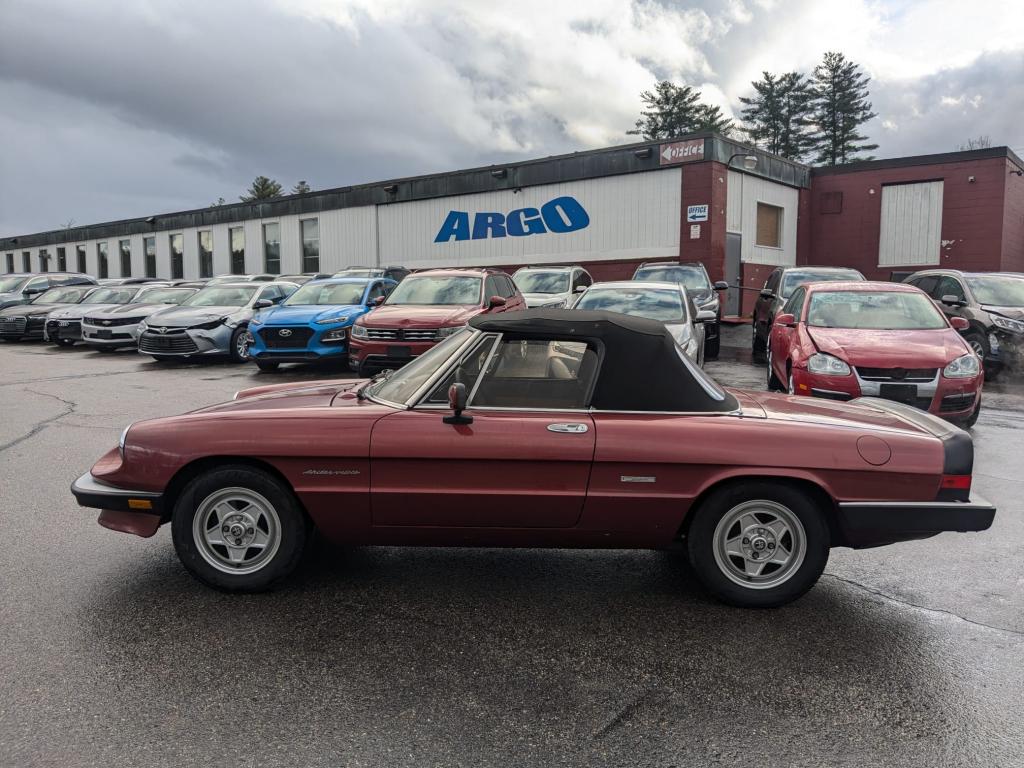 1988 Alfa Romeo Spider