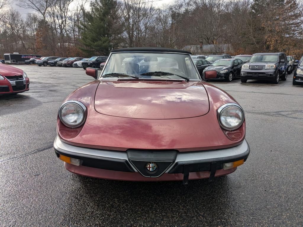 1988 Alfa Romeo Spider