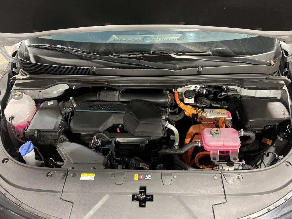 2025 Kia Carnival Hybrid