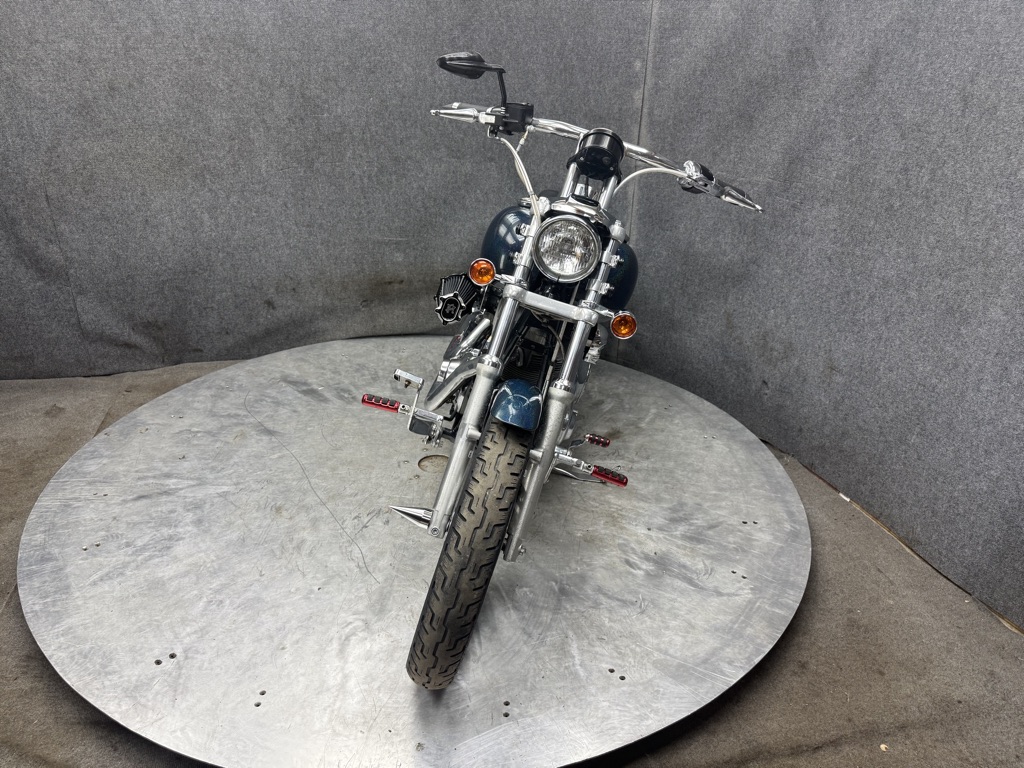 2001 Harley-Davidson FXD