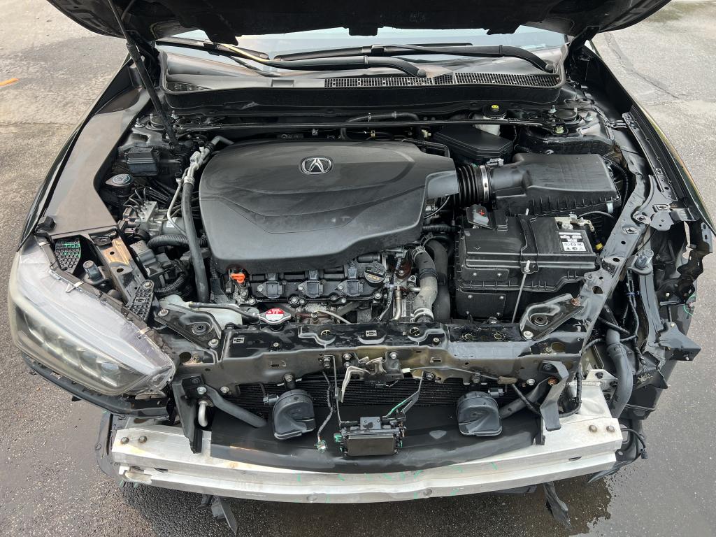 2019 Acura TLX
